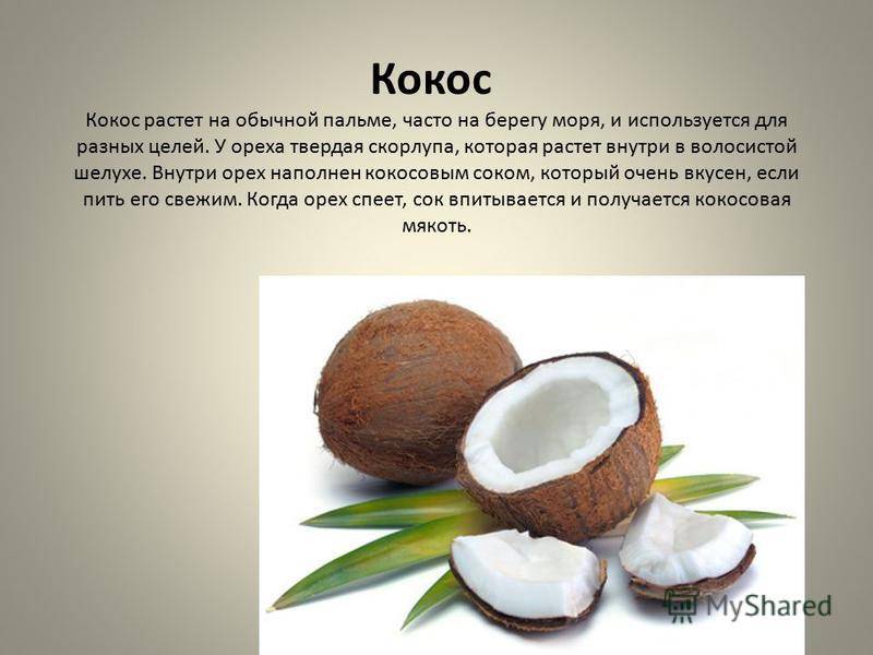 Какие витамины содержатся в кокосе, сколько кбжу, и химический состав стружки, воды, сахара, ги, польза, вред, противопоказания