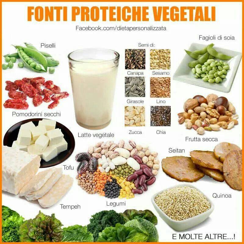Растительный белок: содержание в продуктах и польза для здоровья