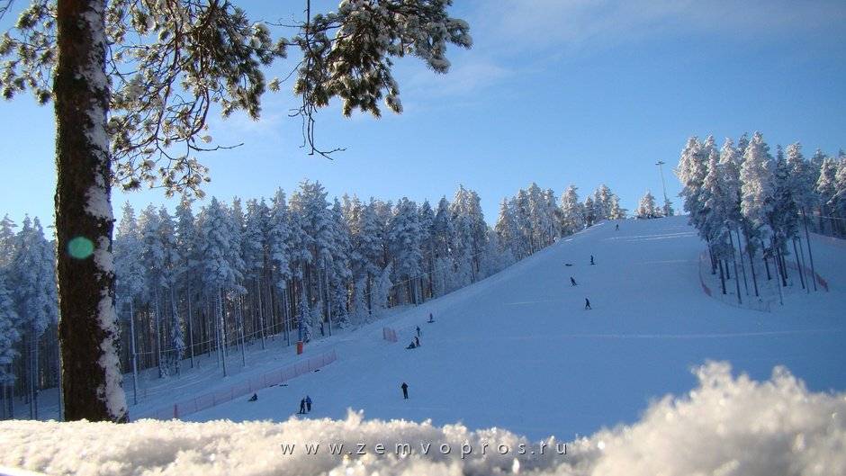 Пухтолова гора популярный горнолыжный курорт в ленинградской области