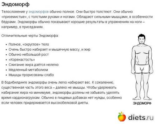Диета для эндоморфа, меню питания для похудения - medside.ru