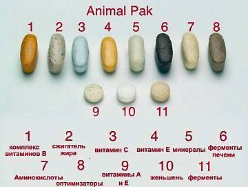 Animal pak (энимал пак) от universal nutrition