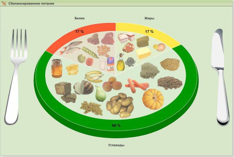 Как переваривается пища в организме человека?