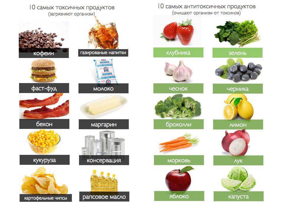 Самые вредные и самые полезные продукты питания. химический состав и совместимость продуктов