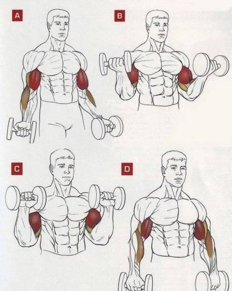 Топ‐5 упражнений при артрозе плечевого сустава по методике доктора сергея бубновского