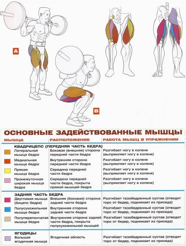 Упражнения со штангой: топ 10 лучших - бомба тело