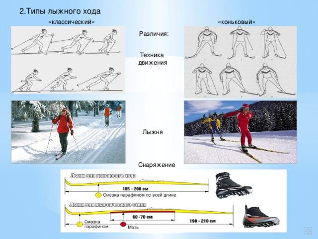 Виды современных лыж: горные, беговые, детские и подростковые.