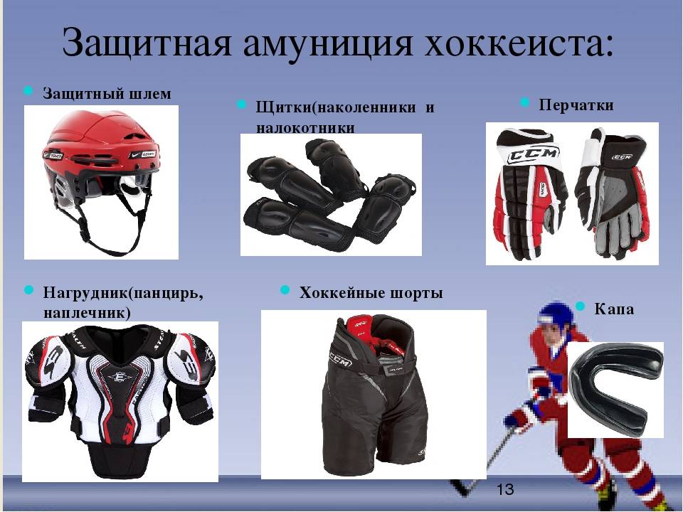 Федерация мотоциклетного спорта россии