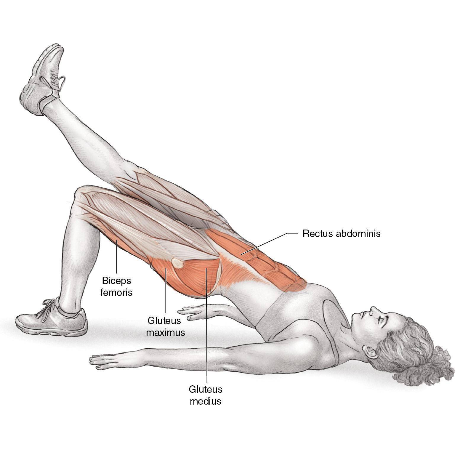 Ноги и мышцы все время. Ягодичный мостик задействованные мышцы. Ягодичный мостик анатомия упражнений. Ягодичный мостик с подъемом ноги мышцы. Ягодичный мост техника мышцы.
