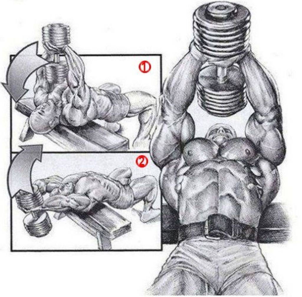 Упражнения с гантелями для грудных мышц