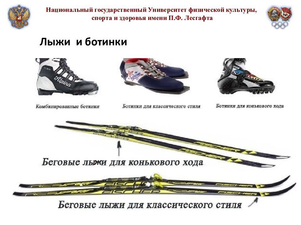 Как выбрать лыжи: доступные советы новичкам и любителям спорта