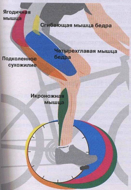 Как правильно ездить на велосипеде, чтобы похудеть? | pokatushkin.ru