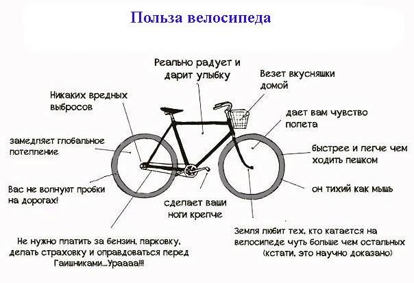Польза катания на велосипеде