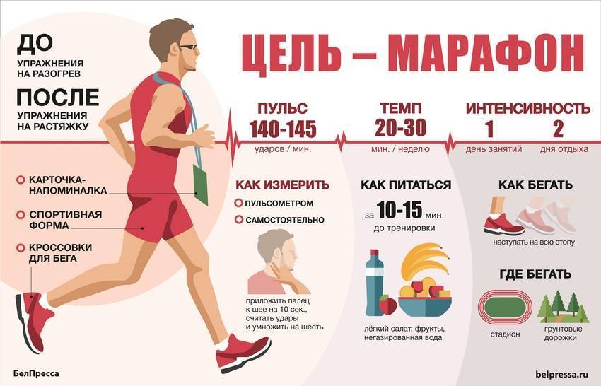 Мышцы и бег: какие мышцы работают, связь бега и набора мышечной массы