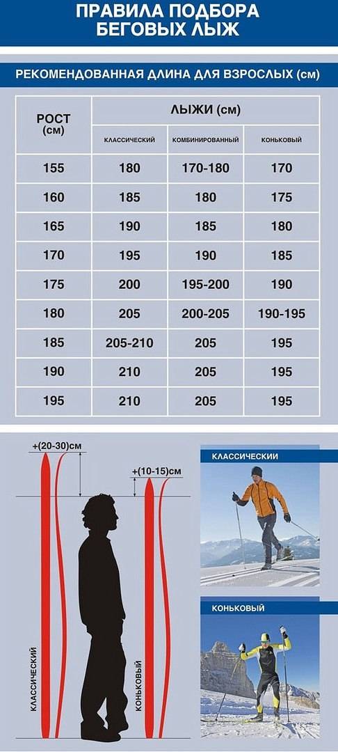 Какой длины должны быть лыжные палки?