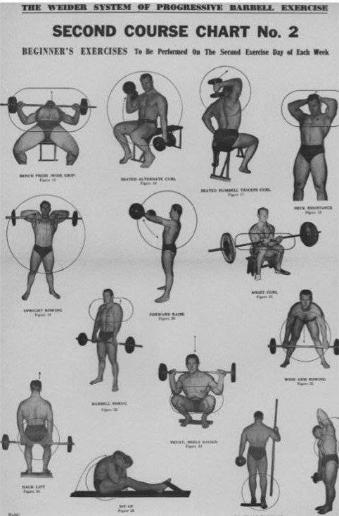 Базовые упражнения на все группы мышц для набора мышечной массы