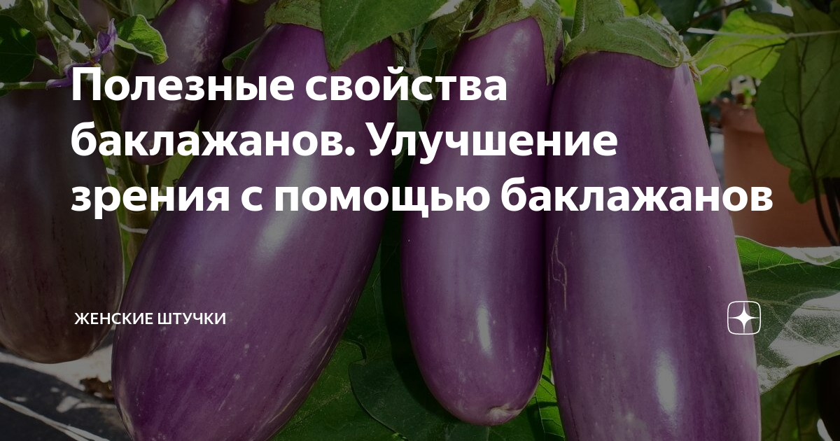 Баклажаны: польза и вред. витамины, калорийность, рецепты :: syl.ru