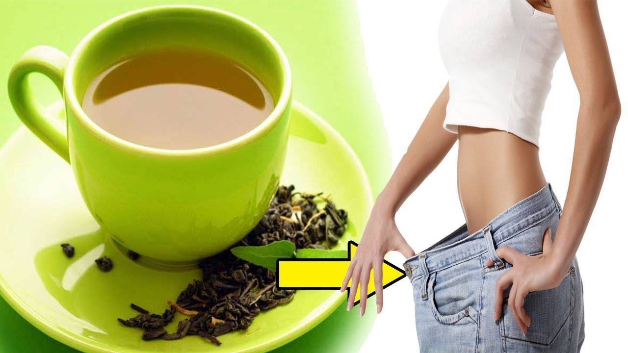Разгрузочный день на чае. Чай для похудения. Зеленый чай. Зеленый чай для похудения. Зеленый час дл похудкгя.