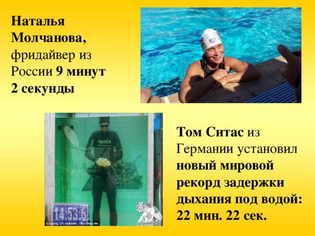 Мировой рекорд по задержке дыхания под водой и на суше. подводное плавание с задержкой дыхания :: syl.ru