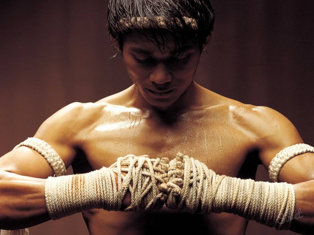 20 лучших фильмов про боевые искусства
