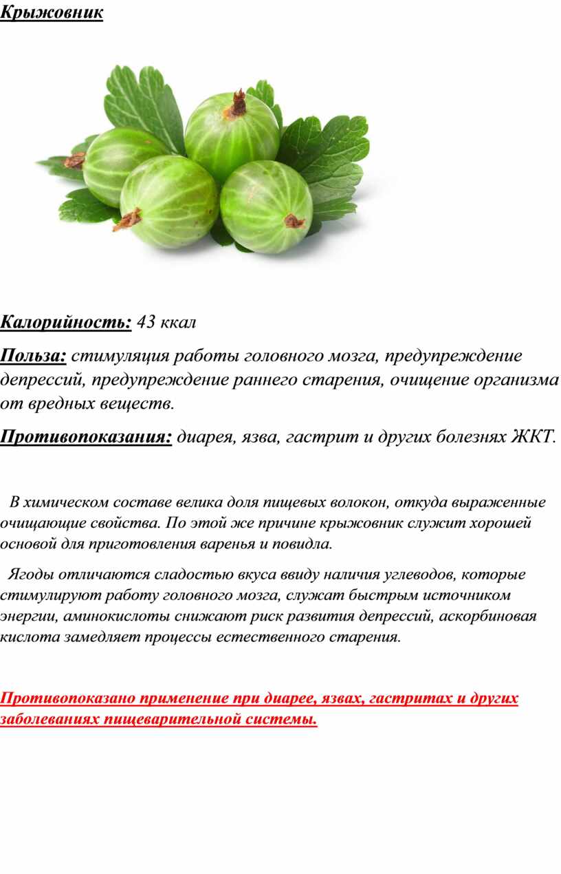 Крыжовник: польза и вред для здоровья организма