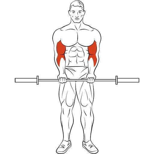 Подъем штанги обратным хватом: какие мышцы работают, техника выполнения стоя