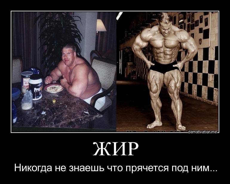 Польза силовых тренировок для здоровья! лучшее доказательство