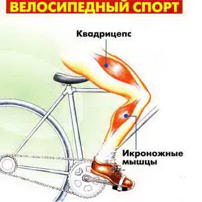 Упражнение велосипед лежа на спине: польза, как делать, отзывы