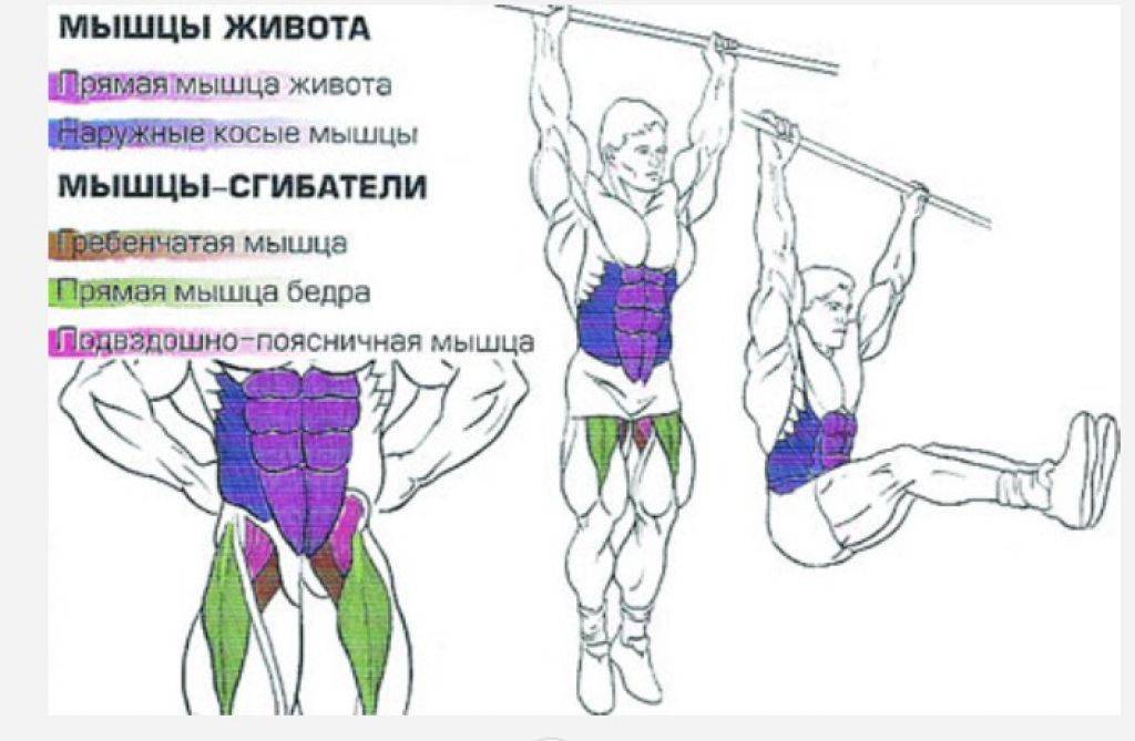 Тренировочные программы для занятий на брусьях. какие мышцы качаются при выполнении упражнений на брусьях | rulebody.ru — правила тела