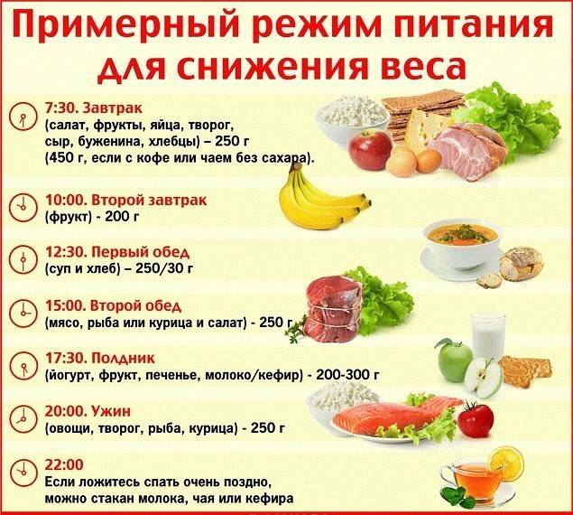 Правильное питание для детей - как научить ребенка правильно питаться - agulife.ru