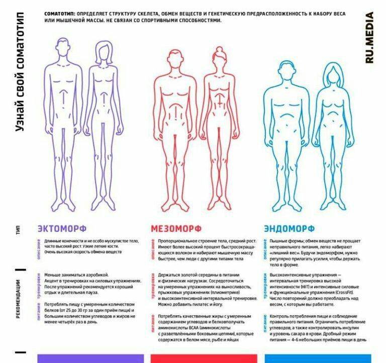 Типы телосложения мужчин и женщин: как определить, характеристика каждого