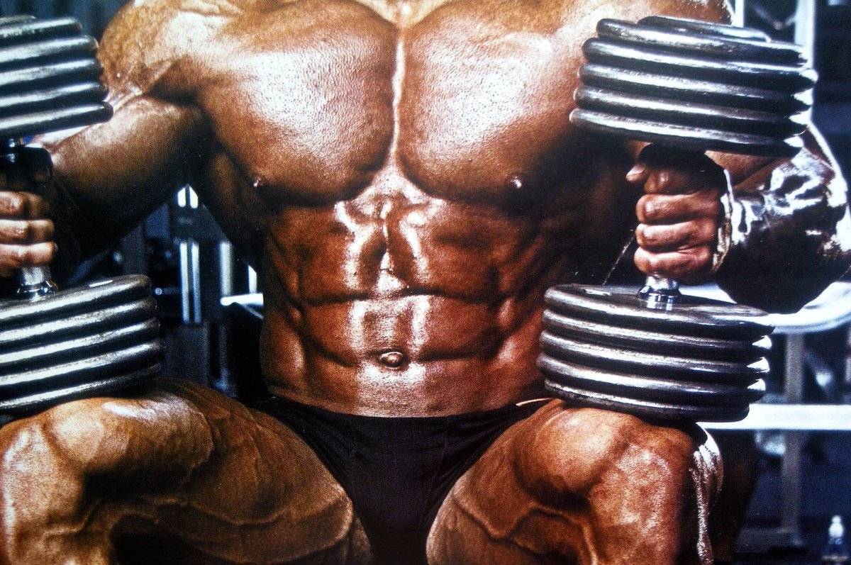 Урок 12 наращивание мышечной массы путем многоповторного тренинга
