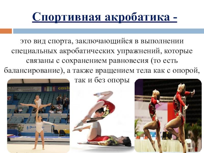 Проект где и как растут чемпионы