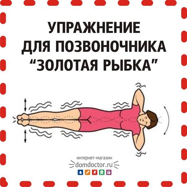 Упражнение «золотая рыбка» для позвоночника: польза и техника | irksportmol.ru