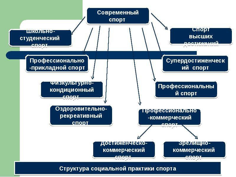 Спортивно-техническая подготовка в спорте. реферат. медицина, физкультура, здравоохранение. 2010-03-04