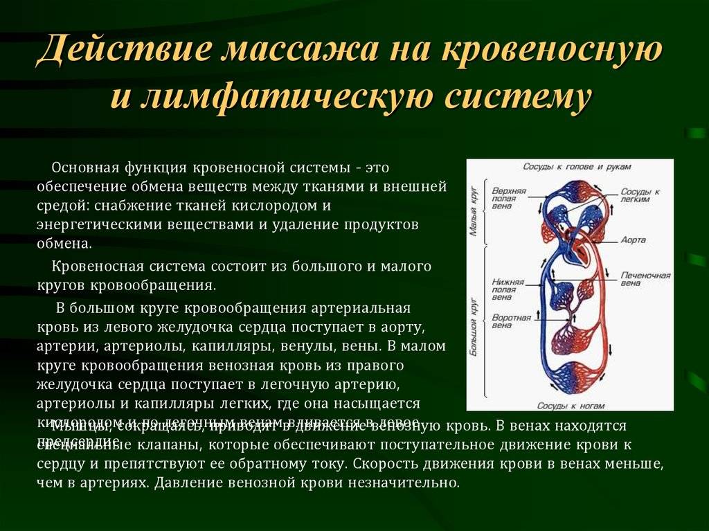 Упражнения для кишечника, от вздутия и запоров – усиление перистальтики :: polismed.com