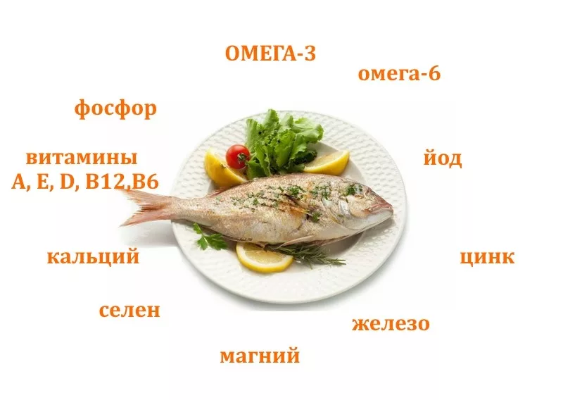 Рыба — это омега- 3, жирные кислоты, профилактика болезней сердца,  и цнс