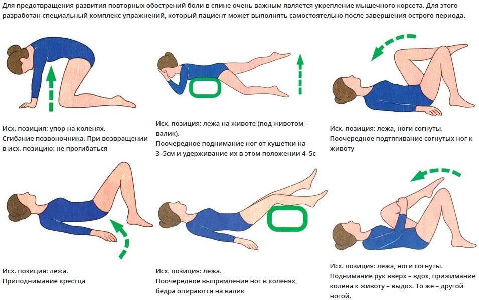 Видеоуроки с упражнениями для спины и позвоночника, эффективные занятия для лечения сутулости и болей в спине