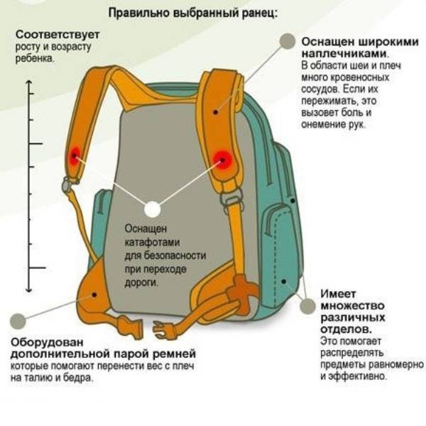 Как должен сидеть рюкзак на первокласснике