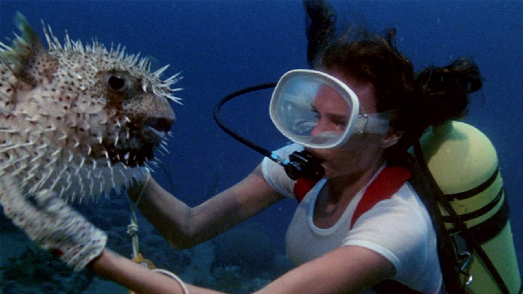 Топ-10 лучших фильмов про подводные лодки и подводников