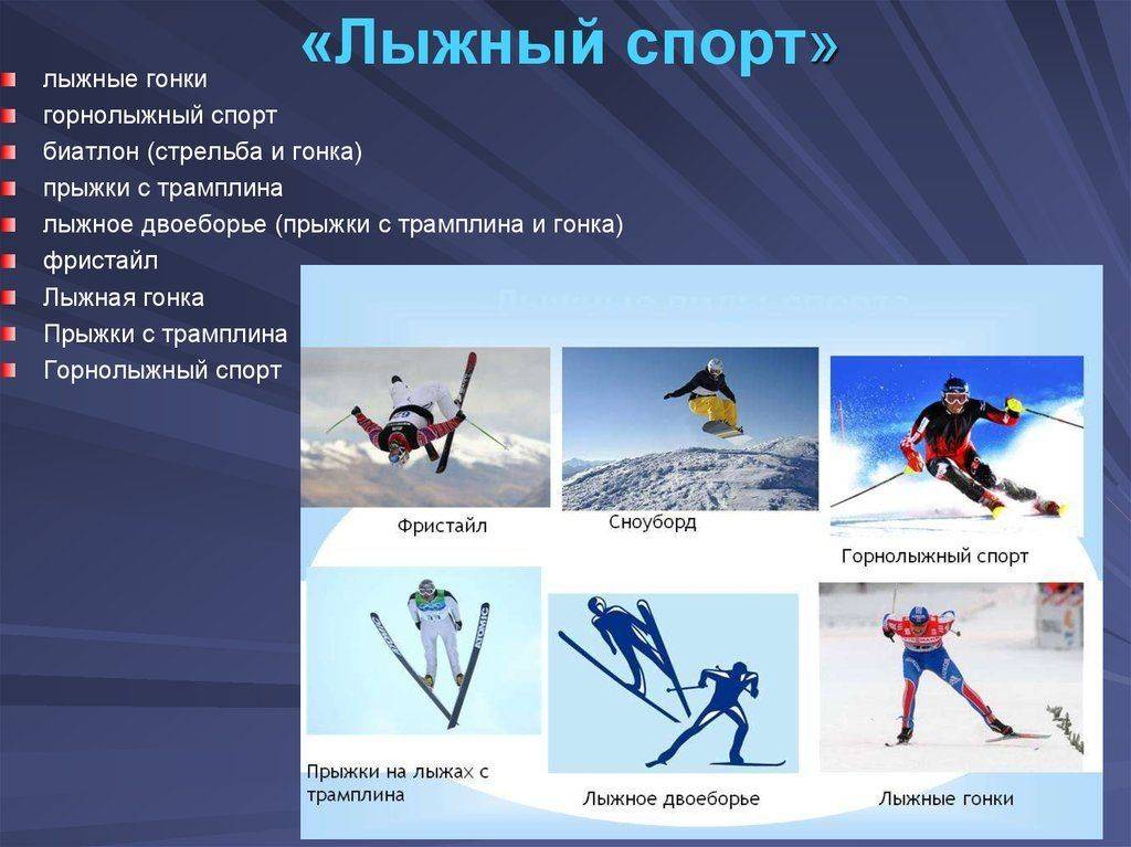 Общая характеристика и особенности лыжных видов спорта