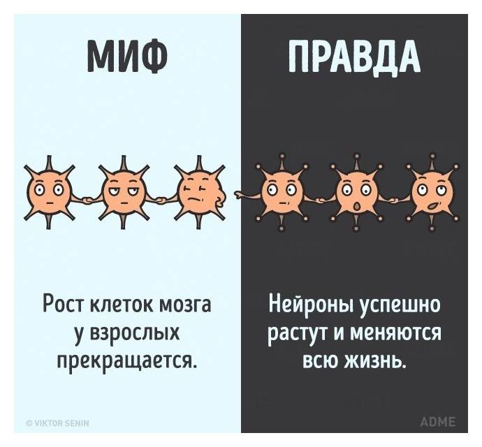 Мифы и факты. Правда или миф. Миф правда. Интересные факты о мифах. Правда или миф интересные факты.