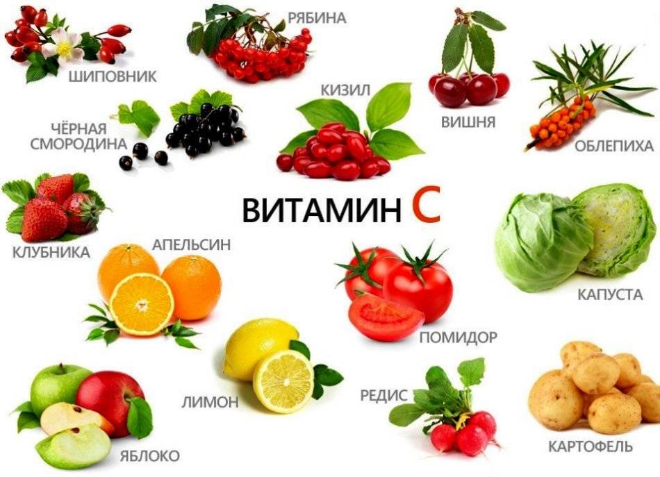 В каких продуктах содержится витамин с в большом количестве список лучших продуктов таблица фото