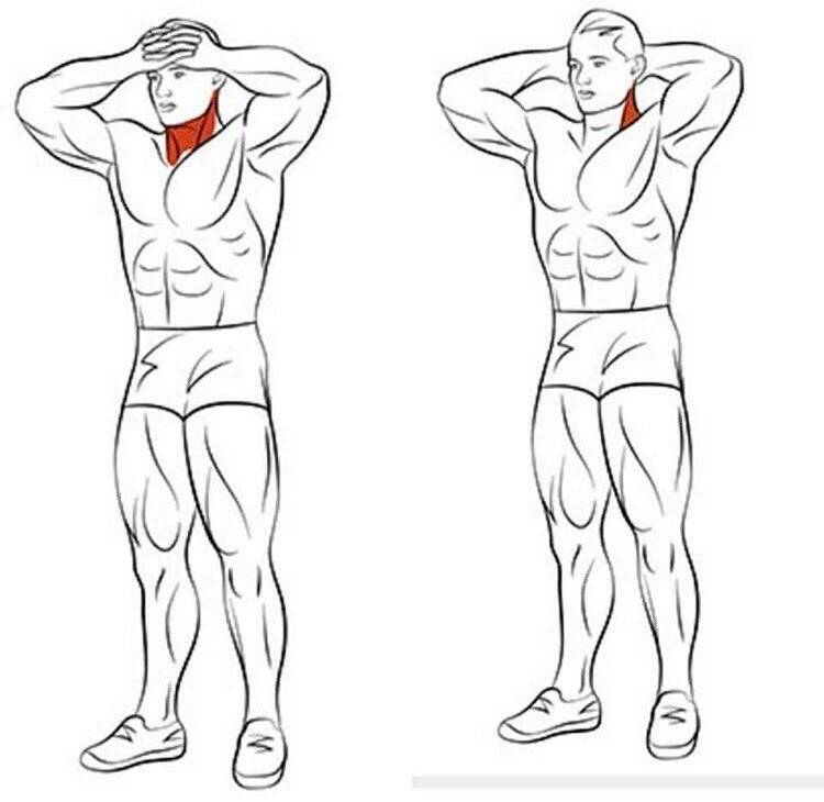 Тренировка шеи: как правильно накачать, а не навредить
