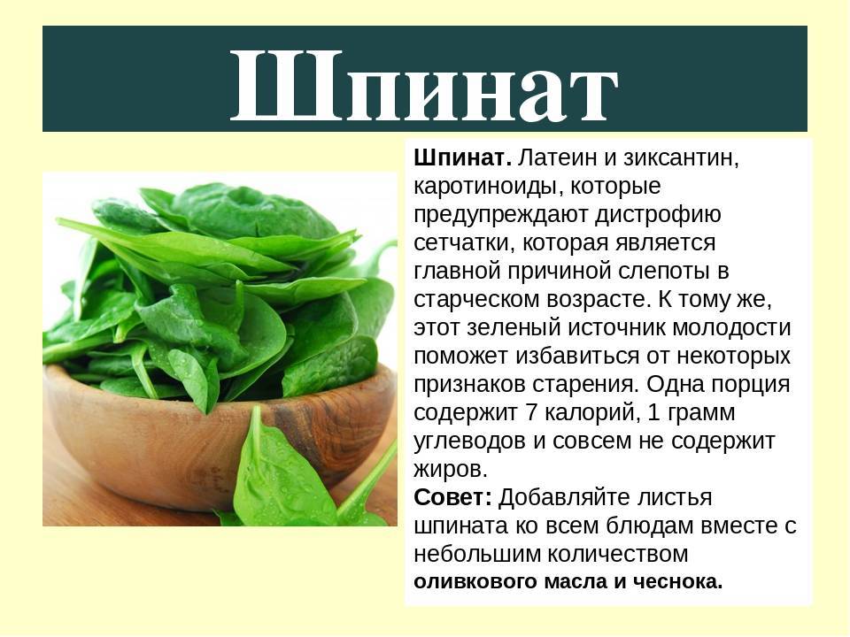 Шпинат: полезные и вредные свойства травы | food and health