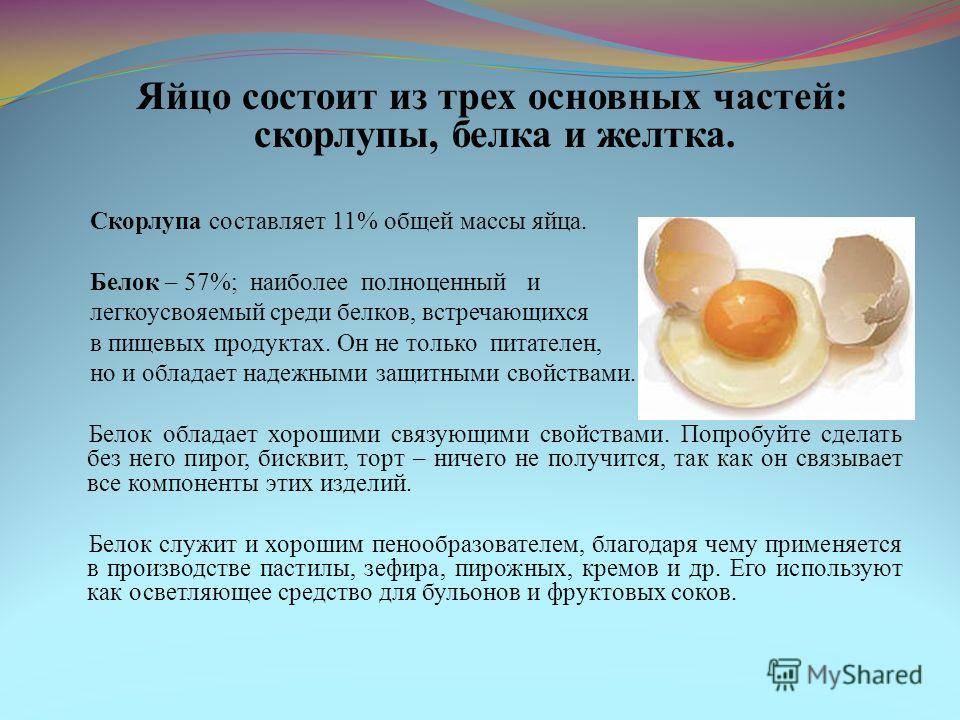 Основная функция яйца