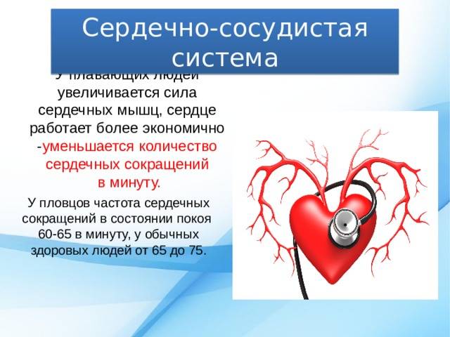 Профилактика болезней сердца: 5 способов сохранить здоровье на долгие годы