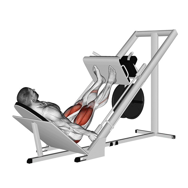 Жим ногами в тренажере сидя и лежа: постановка ног на платформе, как правильно делать упражнение