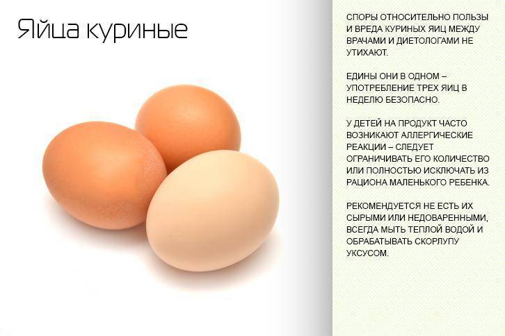 Яйца куриные: польза и вред для мужчин и женщин, в каком виде полезнее