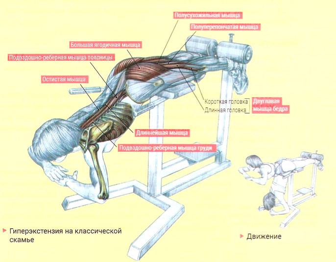 Как делать гиперэкстензию, чтобы накачать мышцы и не навредить спине