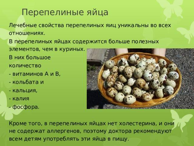 Перепелиные яйца: польза и вред, как принимать, в каком виде мужчинам, женщинам, детям | народная медицина | dlja-pohudenija.ru